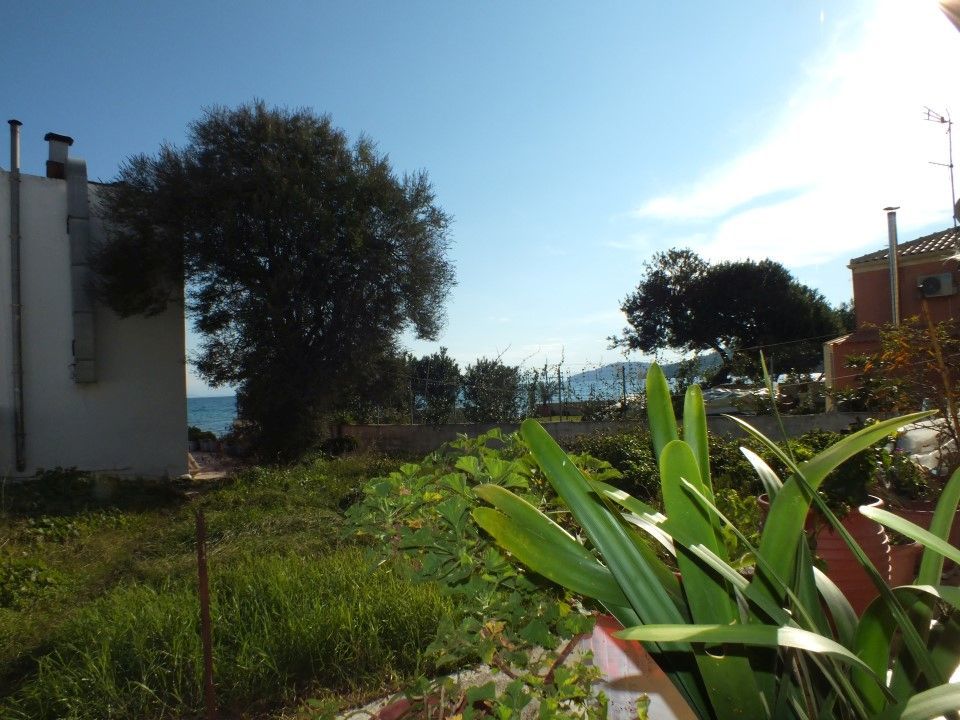 Dina's * Mesongi