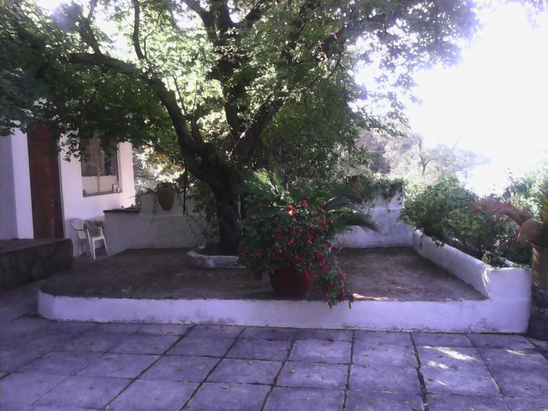 Dina's *